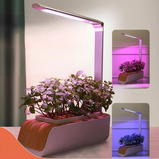 Smart Flower Pot